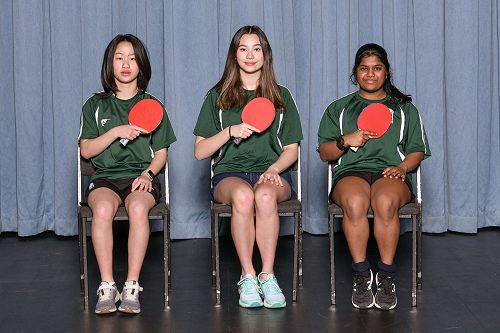 Table Tennis CSS Championship Winners
