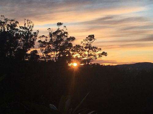 Sunrise 19 August 2021