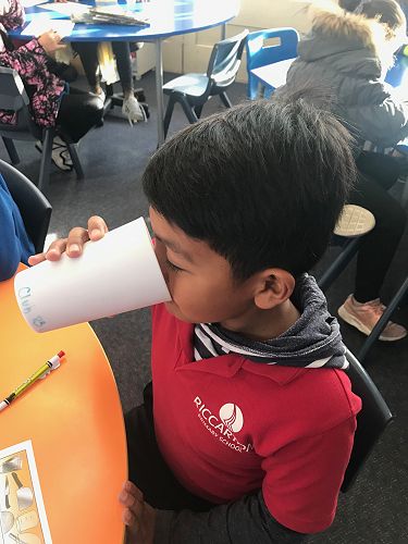 Milkshakes, Rm 3 - T2 2019