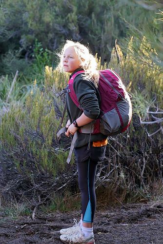 










Climbing Little Mount Peel


