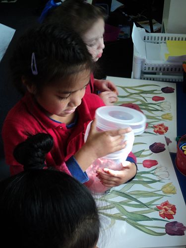 Room 12, Term 3 2017