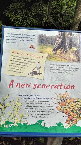 Riccarton House & Riccarton Bush - Team Harakeke - 2017