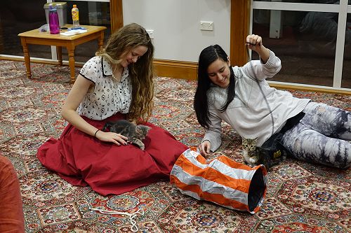 Cuddle Fix - 10 June 2018