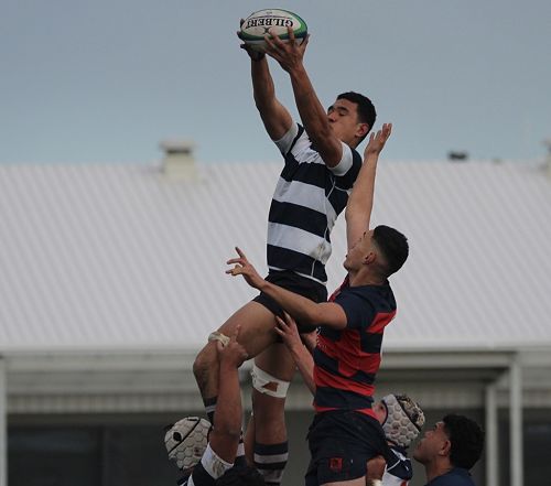 2nd XV v Hastings Boys' High School