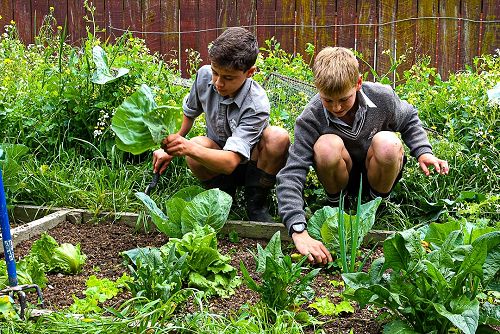 Year 10 Horticulture