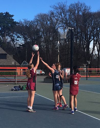 7/8 Netball Maroon