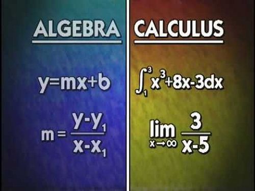 Video: What is Calculus?