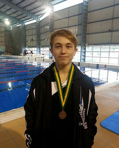 Diving Champion