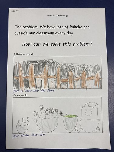 Harakeke Technology Problem