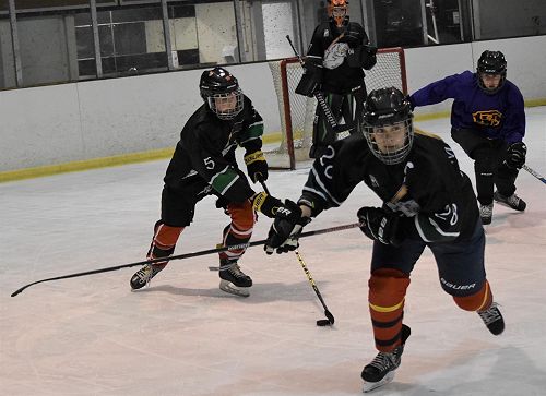 BHS Ice Hockey Team 2022