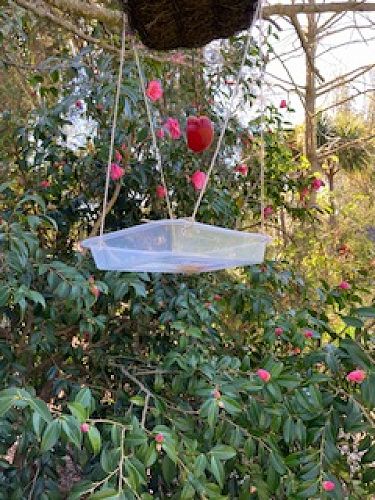 Another whenua iti challenge from Lola P - making a bird feeder.