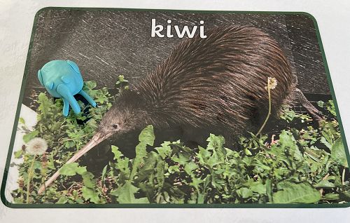 NZSL Hub Bird playdough 