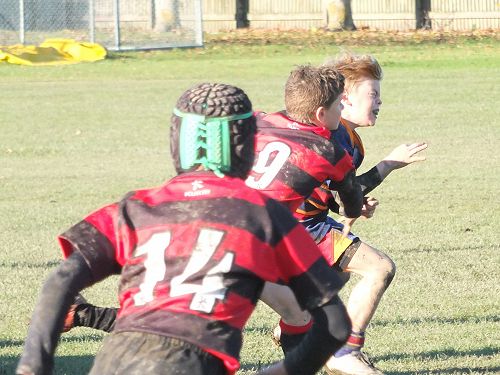 2016 RUGBY UNDER 12 