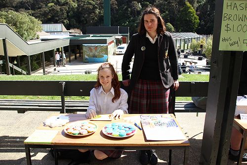 Outdoor Music Concert and Market Stalls