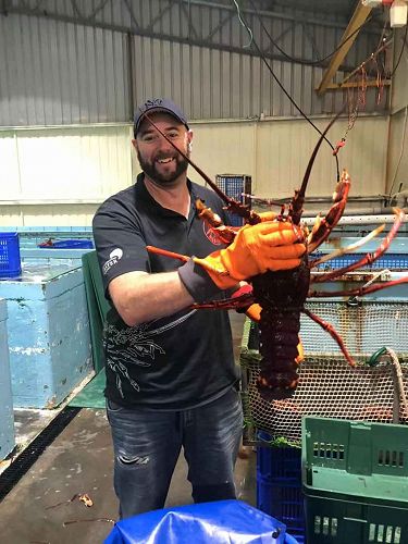 They grow 'em big in Hobart: Tasmanian Manager Michael Blake and his 4kg friend.