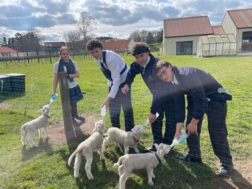 Students at feeding time