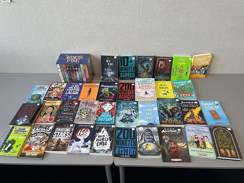 New books waiting to be processed before hitting our library shelves!!