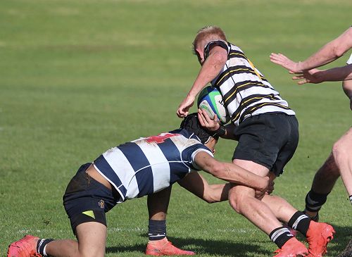 2nd XV vs New Plymouth Boys' High School