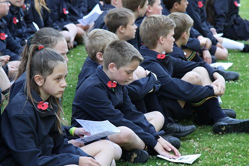 Reflections...............