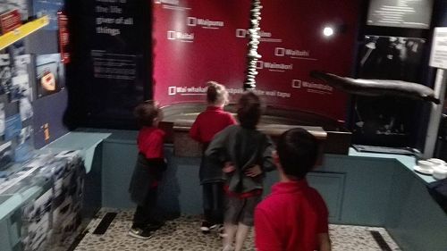 Team Awa's Visit to the Art Gallery and Museum