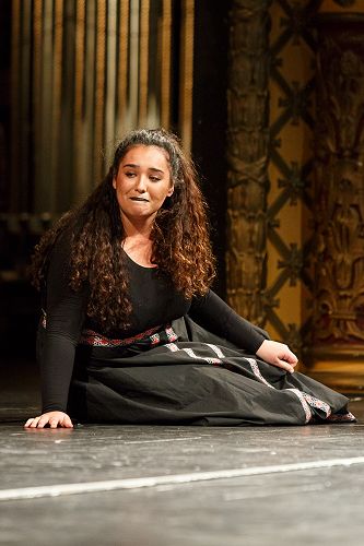 Shakespeare high achiever