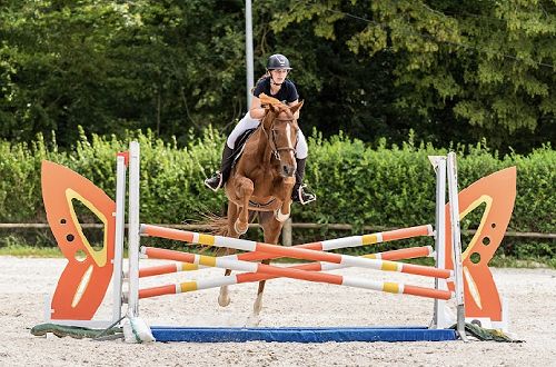 Ruby and her horse shining bright!