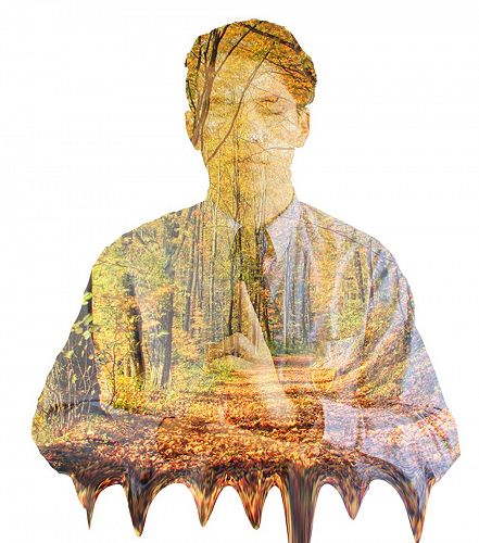 Te Aotahi Rice Edwards L2 Photography level two