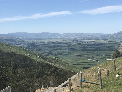 Adventures at Year 7 Camp survival. 