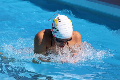 Swimming sport heats