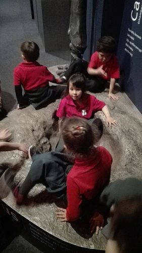 Team Awa's Visit to the Art Gallery and Museum