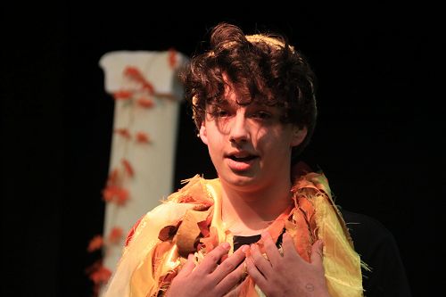 Shakespeare Mini Fest