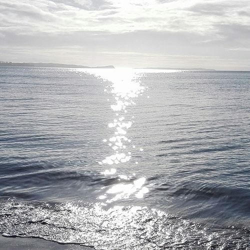 Long Bay Beach from the Vaughan Park Retreat Centre.