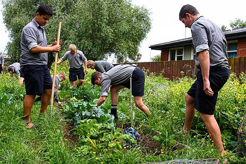 Year 10 Horticulture 