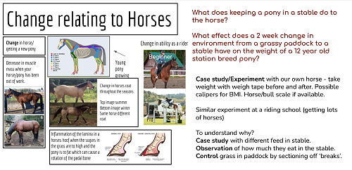 Student led context for exploring change