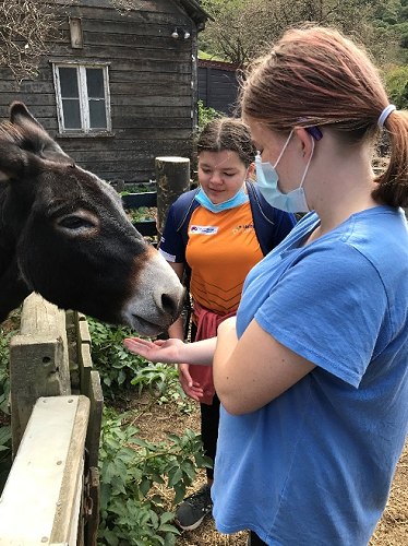 Arion Animal Farm at McLean Forest