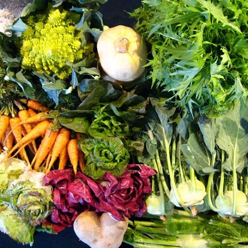 Winter Veges