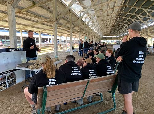 Future Sheep Competition