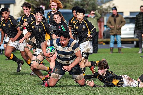PNBHS Colts Rugby v Wellington College 
