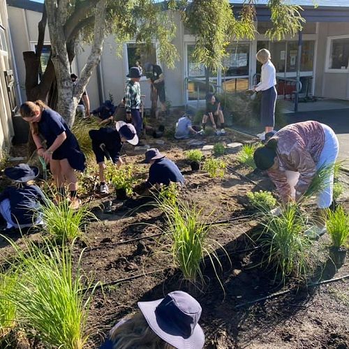 Community Planting day