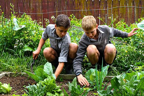 Year 10 Horticulture