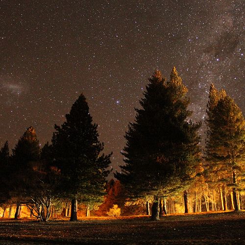 Lake Tekapo and Mount Cook Trip