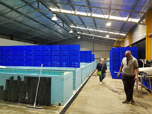 Inside the Tasmanian Facilities