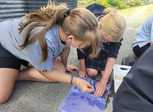 Junior Conservation Ranger Program