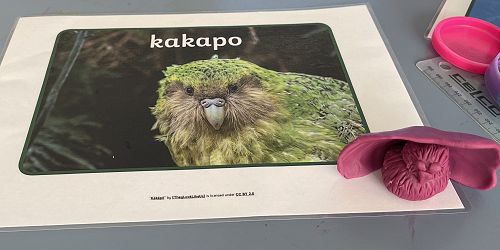 NZSL Hub Bird playdough