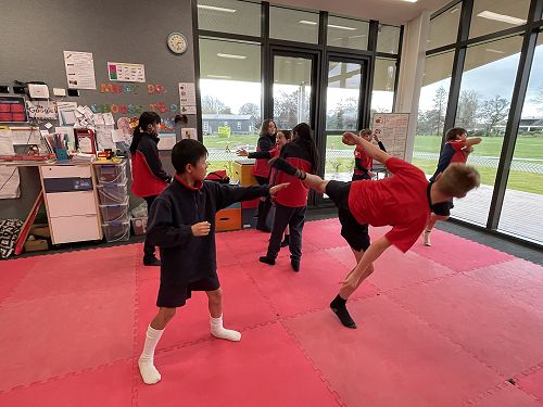 Self Defence Sports 2023