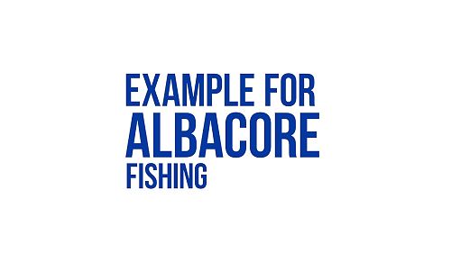 Video: High Resolution Oceanographic Forecasts by TIMEZERO