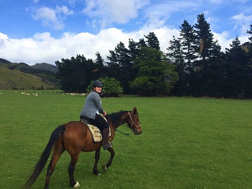 Horse Riding | Springfield 