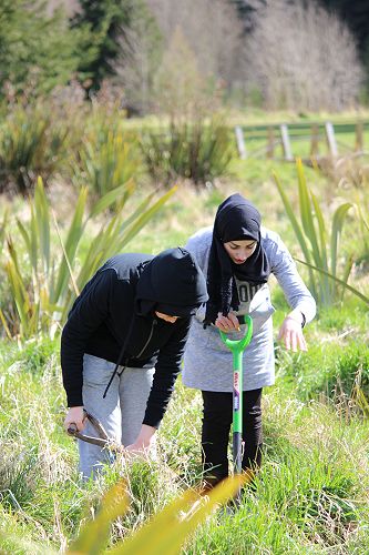 Tree Planting at Berwick