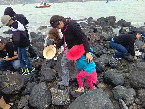 Fun for all the family