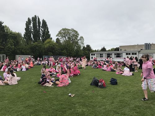 Pink Day 2019